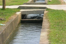 Phát hiện thi thể người đàn ông nổi dưới mương nước