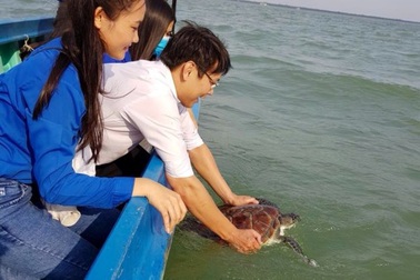 Thả cá thể đồi mồi 9kg về tự nhiên