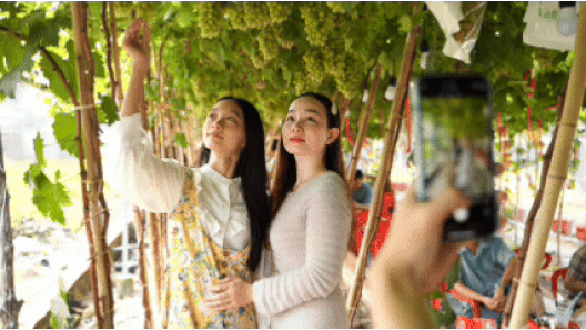 Lạc vào vườn nho trĩu quả giữa lòng TPHCM