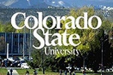 Học bổng 50% Đại học Colorado State