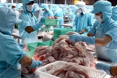 Mỹ thay đổi mức chống phá giá với cá tra Việt Nam