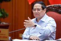 Hàng trăm tấn hàng giả mà không biết, do không còn ý chí hay bị mua chuộc?