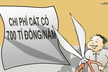 Chủ tịch Nguyễn Đức Chung & bài toán “tôi thấy “hoa hồng” trên cỏ xanh”