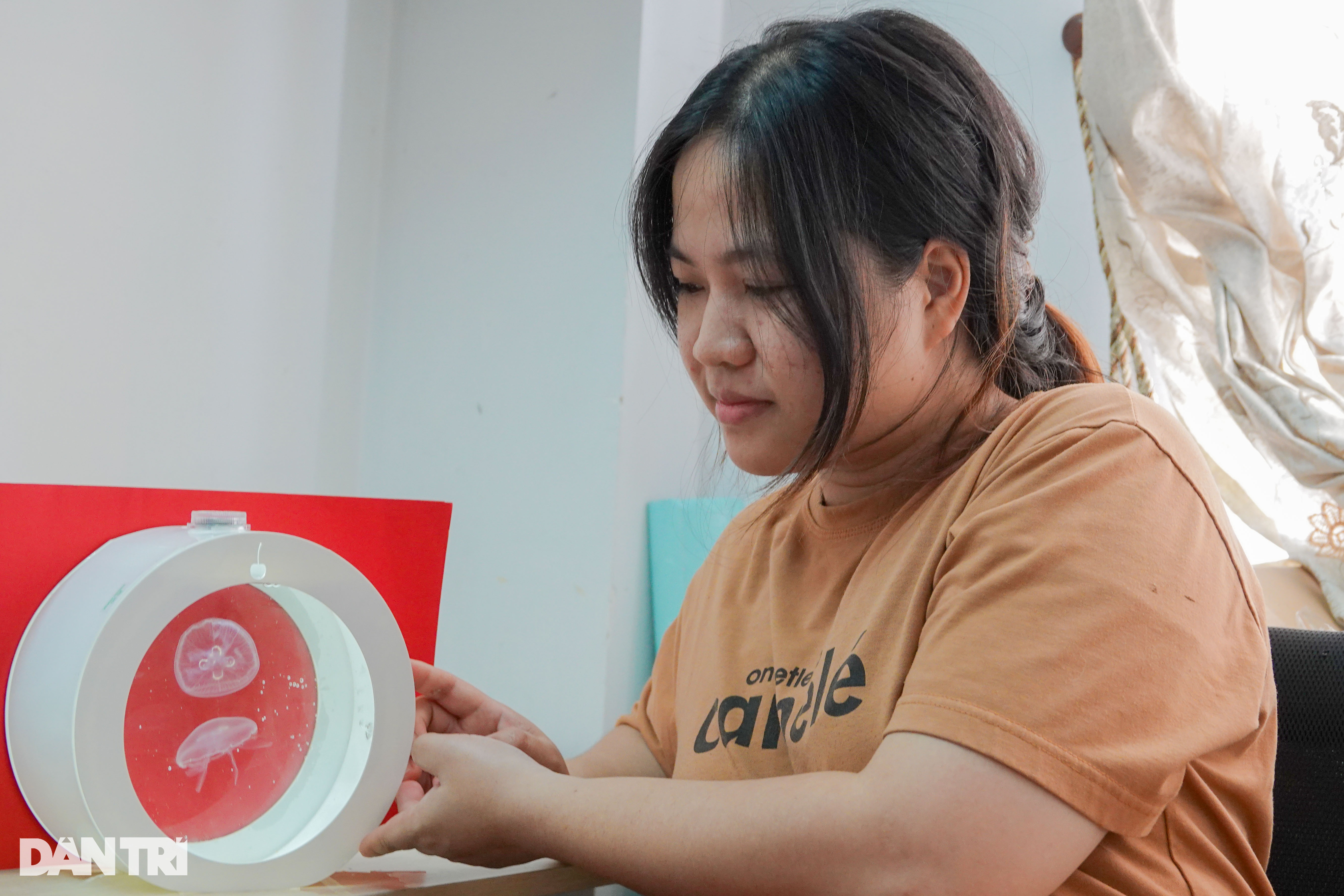 Kiếm bạc triệu nhờ mô hình nuôi sứa triệu view trong phòng máy lạnh - 1 Kiếm bạc triệu nhờ mô hình nuôi sứa triệu view trong phòng máy lạnh - 1