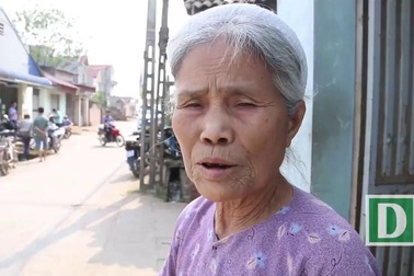 Vụ hàng loạt cây xanh bị chặt: Người dân không được hỏi ý kiến!