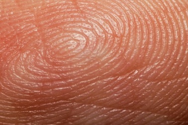 Công nghệ kiểm tra vân tay có thể biết được lịch sử sinh hoạt trong một tháng