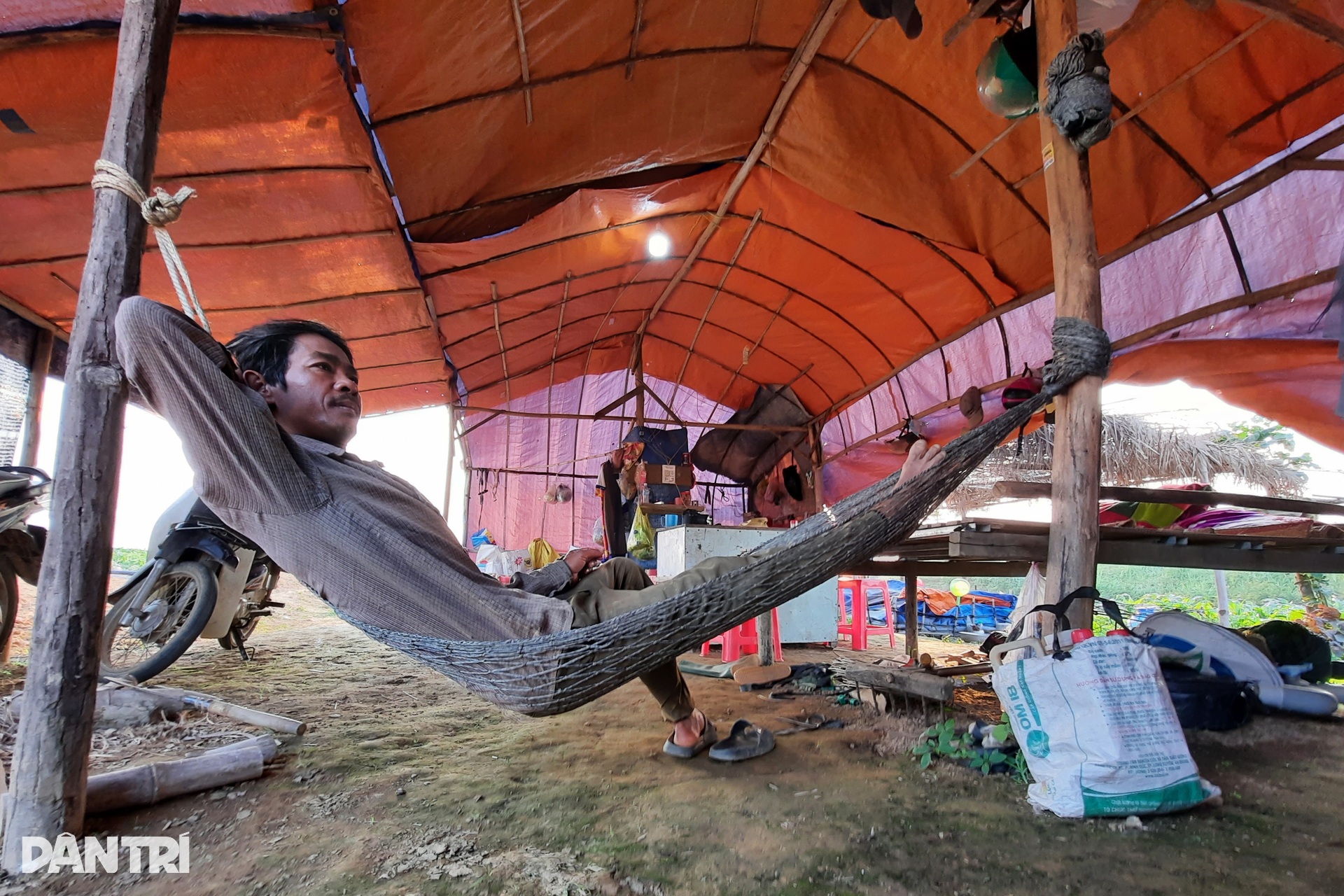 Canh cánh nỗi lo dưa ăn bò, gặm sổ đỏ - 3 Canh cánh nỗi lo dưa ăn bò, gặm sổ đỏ - 3