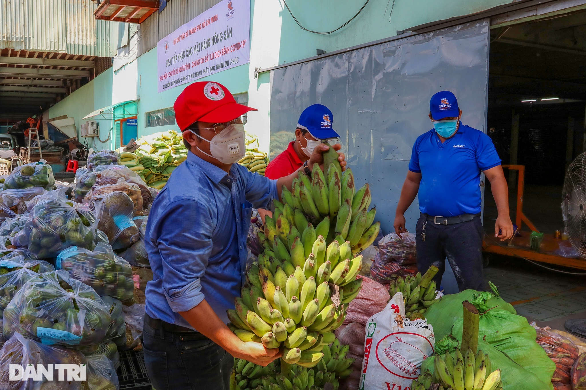 Người dân Quảng Bình góp hàng tấn cá tôm gửi các bếp ăn chống dịch ở TPHCMM - 13 Người dân Quảng Bình góp hàng tấn cá tôm gửi các bếp ăn chống dịch ở TPHCMM - 13