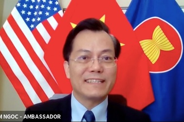 1.000 công dân, du học sinh Việt Nam tại Mỹ đăng ký về nước