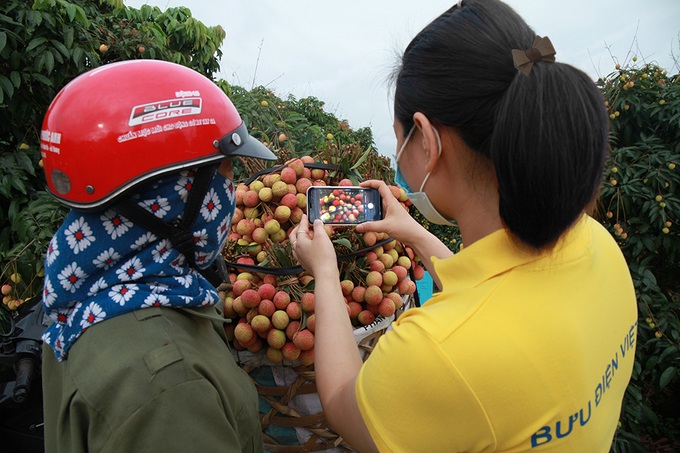 Bưu điện Bắc Giang hỗ trợ nông dân tiêu thụ hàng chục tấn vải, dứa, na mỗi ngày - Ảnh 2.