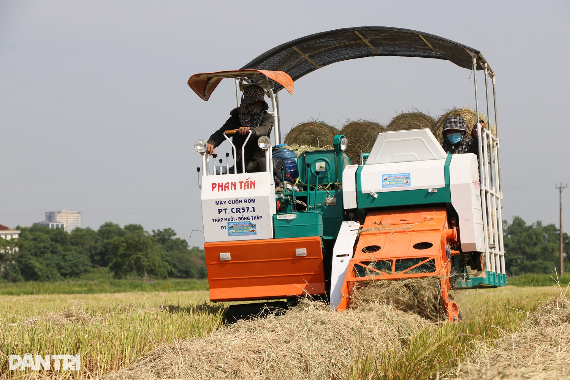 Cướp nắng với trời, kiếm mỗi ngày cả triệu đồng - 3 Cướp nắng với trời, kiếm mỗi ngày cả triệu đồng - 3