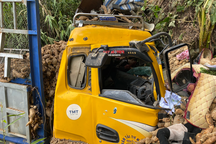 Xe chở sắn lao xuống vực, 3 người thương vong