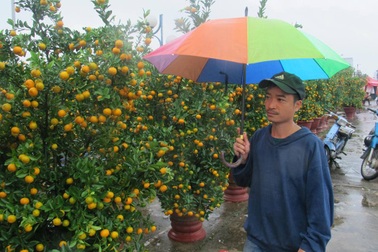 Đà Nẵng: Người bán hoa Tết “khóc ròng” vì trời mưa