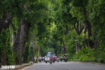 Người dân Hà Nội sẵn lòng chi tiền để cải thiện diện tích cây xanh đô thị?