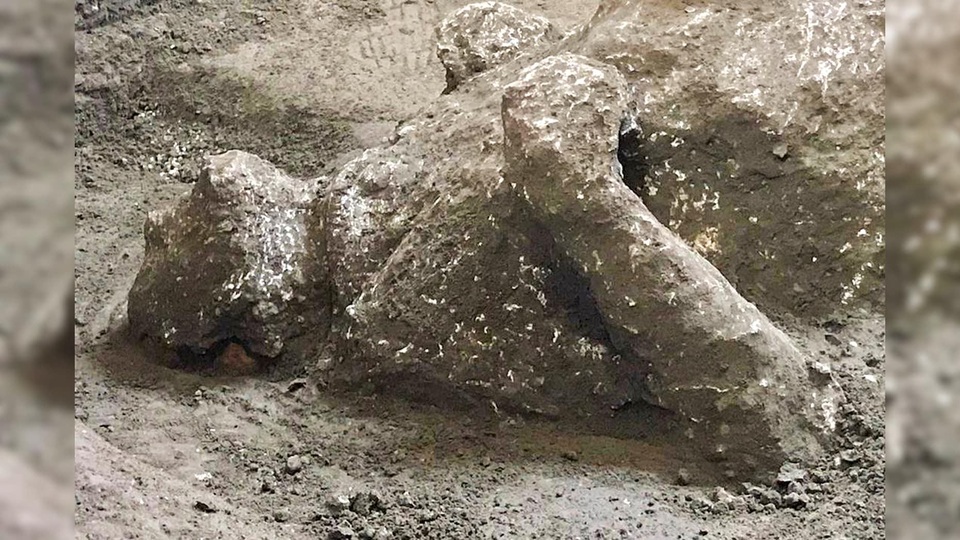 Phát hiện thêm cái chết khủng khiếp của nạn nhân thảm họa Pompeii - 2