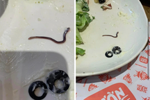 Hà Nội: Thực khách kinh hãi phát hiện con giun sống bò trên đĩa salad