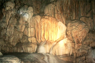 Chùm ảnh: Những kiệt phẩm vô giá giữa rừng già