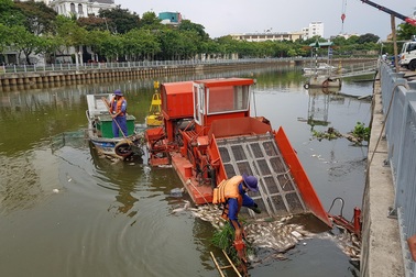 Huy động máy móc vớt hàng tấn cá chết trắng kênh Nhiêu Lộc - Thị Nghè
