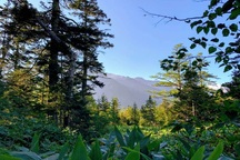 Leo núi 4 ngày chỉ để tắm onsen trên đỉnh cao ở Nhật Bản