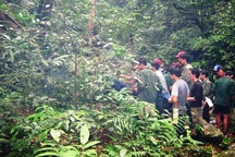 Khám nghiệm hiện trường vụ thảm sát 5 người tìm trầm