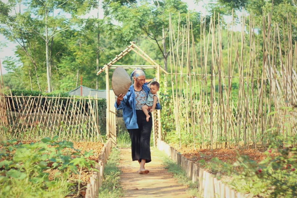 Làng quê yên bình qua ống kính của nữ thiết kế bỏ phố về quê bán cá - 10