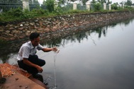 Nông dân đề nghị điều tra lại vùng ô nhiễm do Sonadezi Long Thành gây ra 