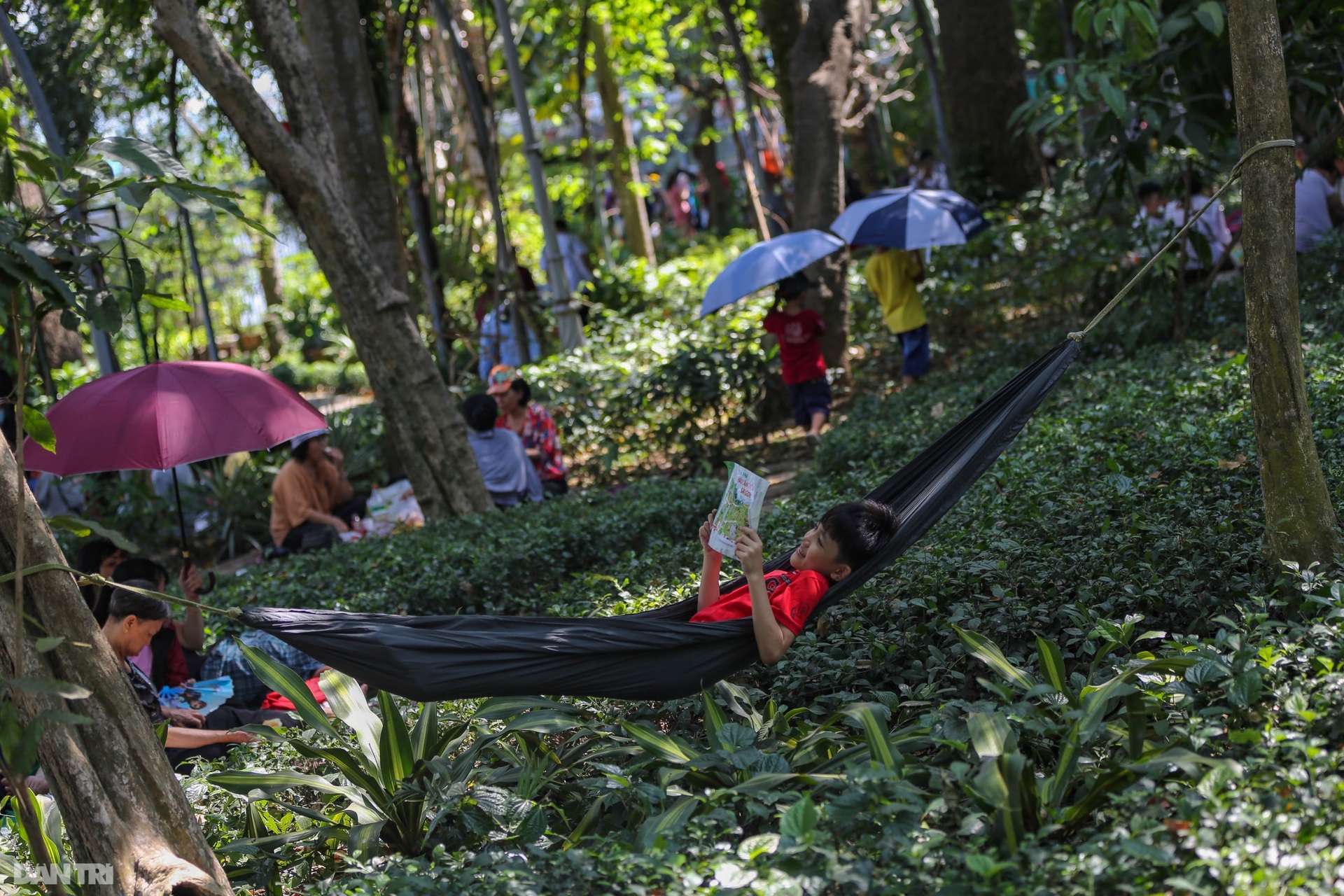 Hàng chục nghìn du khách tham quan, cắm trại ở Thảo cầm viên Sài Gòn - 11