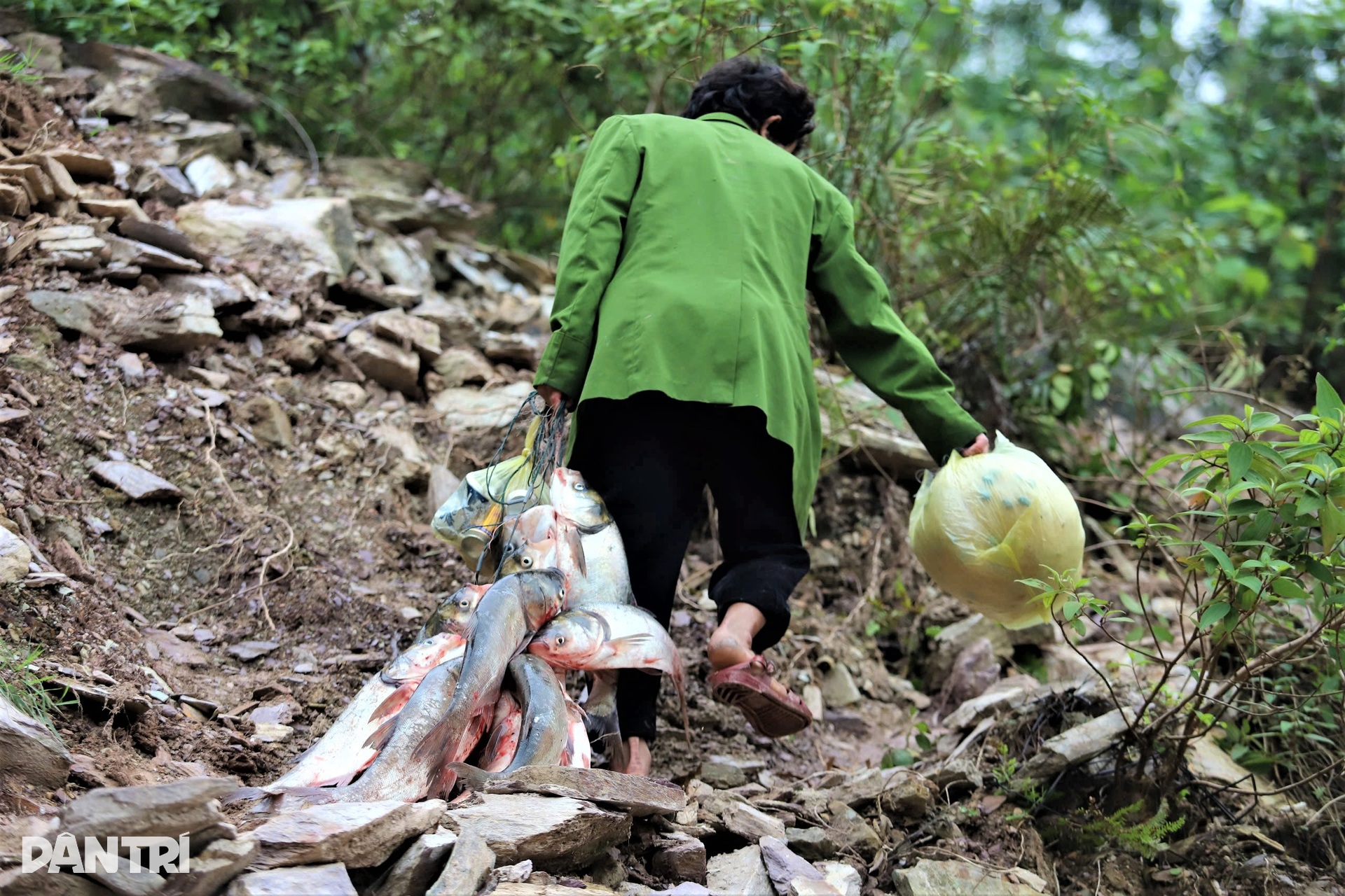 Săn cá dài cả mét dưới miệng cửa tràn xả lũ hồ Kẻ Gỗ - 8