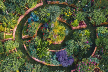 Mê mẩn vườn 250 loại dược liệu quý, thiết kế đẹp như tranh