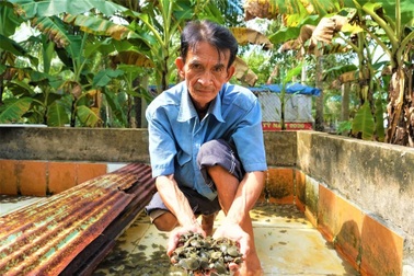 Lão nông Hậu Giang kể bí quyết nuôi ba ba thu lợi nhuận cao