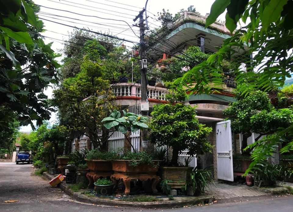 Vườn bonsai ngược trăm triệu đồng trên sân thượng nhà phố ở Quảng Nam - 1 Vườn bonsai ngược trăm triệu đồng trên sân thượng nhà phố ở Quảng Nam - 1