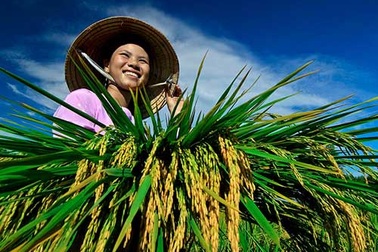 Bình chọn 63 “bông hoa đẹp” nông dân Việt Nam