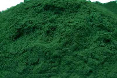 Mexico nghiên cứu thành công nhiên liệu sinh học từ tảo xoắn