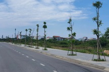 Khai trừ khỏi Đảng hàng loạt cán bộ vi phạm liên quan đến đại án cây xanh