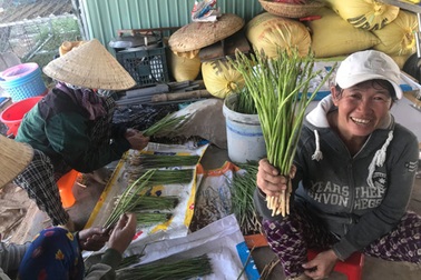 Gã “khùng” mát tay trồng măng tây trên cát, 1 tháng lãi 100 triệu đồng