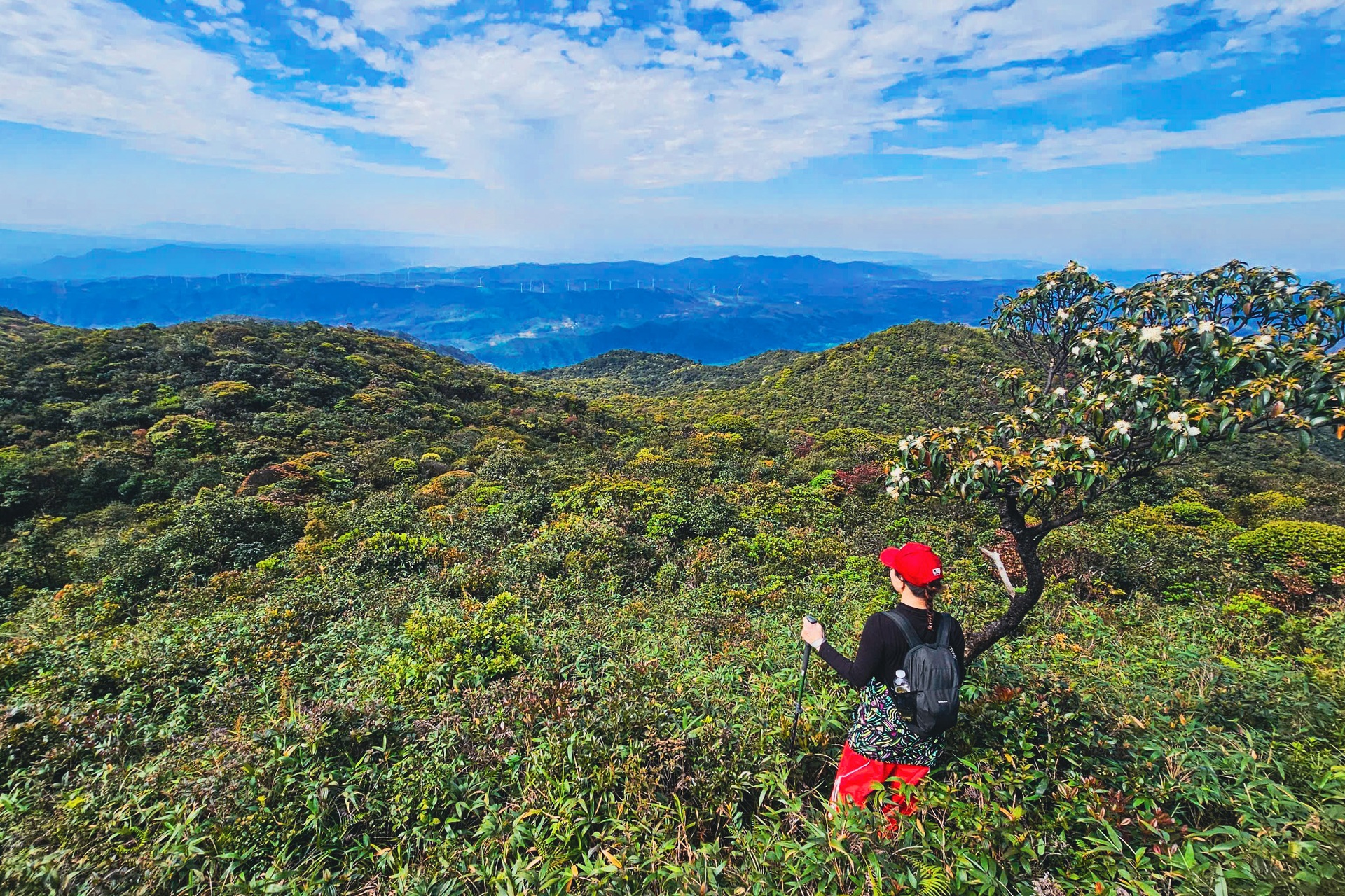 Săn mây trên “nóc nhà” Voi Mẹp cao hơn 1.700m so với mực nước biển - 8 Săn mây trên “nóc nhà” Voi Mẹp cao hơn 1.700m so với mực nước biển - 8