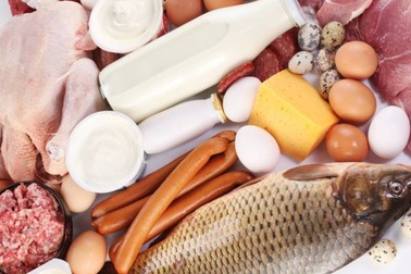 Làm sao để cung cấp nguồn đạm tốt nhất cho trẻ?