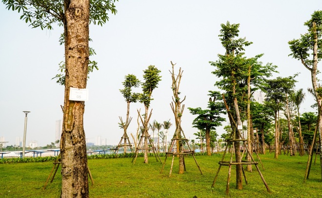 Toàn cảnh công viên Thiên văn học sắp hoàn thành tại Hà Nội - 9