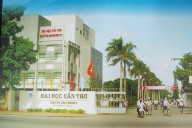 Cụm thi Cần Thơ: Gần 50 điểm thi đại học