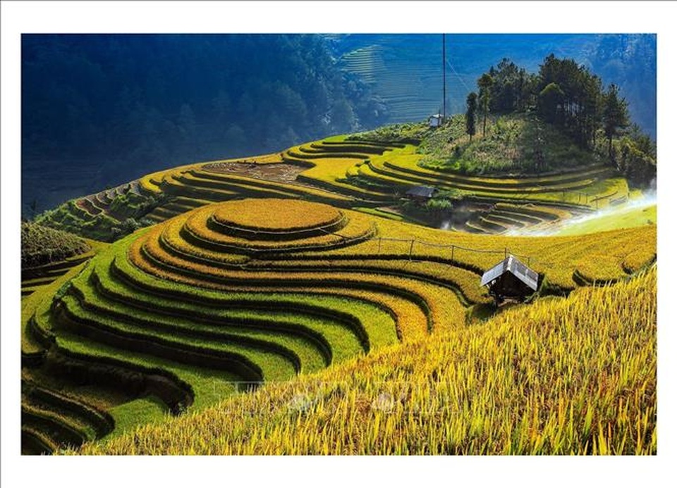 Ngắm mùa vàng trên ruộng bậc thang Mù Cang Chải - 1