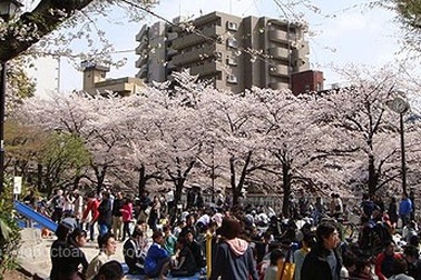 Phỏng vấn du học đảm bảo việc làm tại Nhật Bản