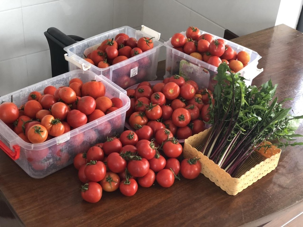 Cặm cụi vác đất lên tầng 5, mẹ đảm Đà Nẵng có vườn rau trái 100m2 - 14