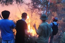 Hàng trăm người dập "giặc" lửa thiêu rừng thông trên núi