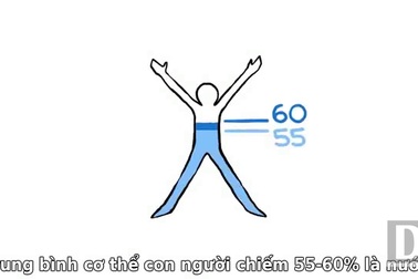 Nước có vai trò như thế nào với cơ thể con người