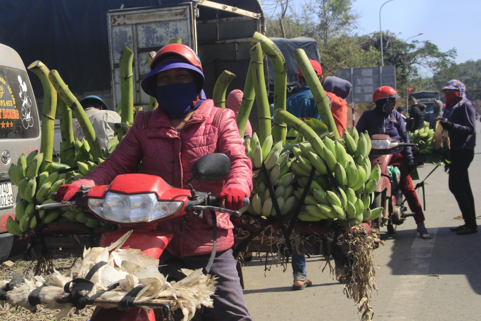 Vựa chuối lớn nhất Quảng Trị nhộn nhịp những ngày giáp Tết - 8 Vựa chuối lớn nhất Quảng Trị nhộn nhịp những ngày giáp Tết - 8