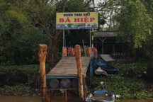 Xác minh việc du khách Hà Nội "tố" bị ép đi tham quan miệt vườn Cần Thơ