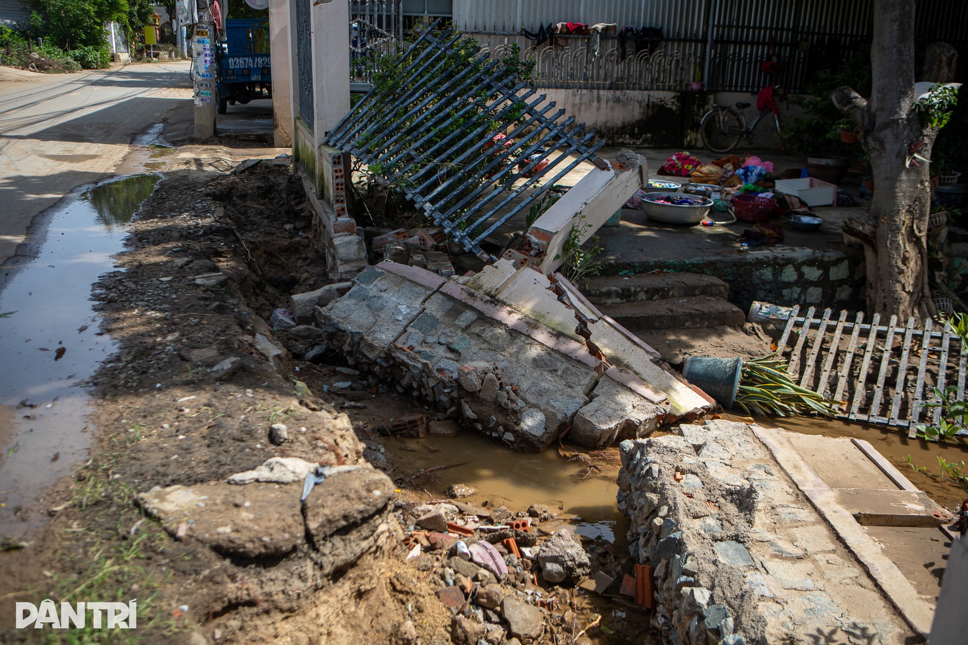 Thủ phủ nho của cả nước cắt bỏ hàng tấn nho vụ Tết sau trận lũ lịch sử - 9