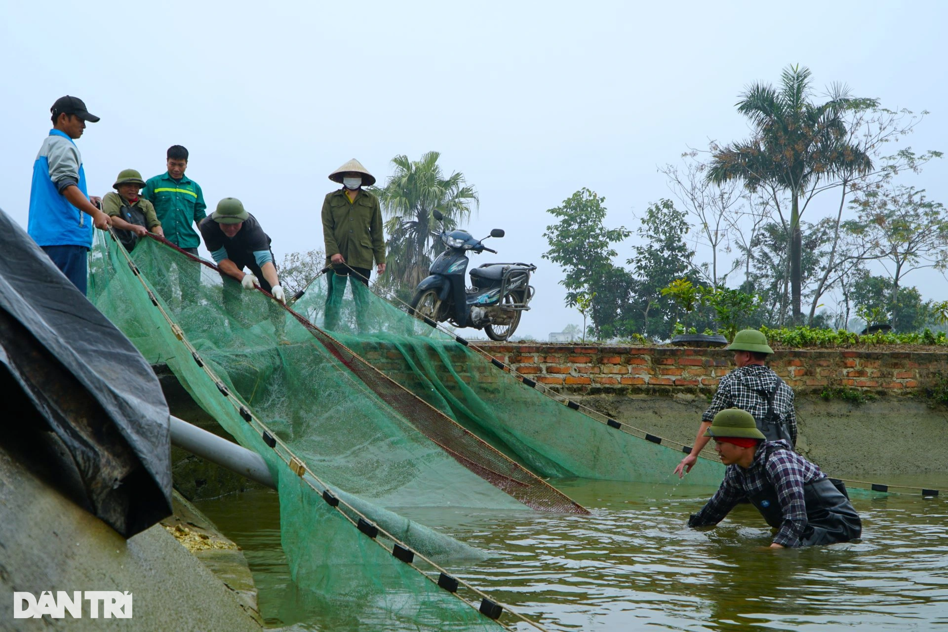 Mẻ lưới trăm triệu tại nơi sản xuất phương tiện tiễn ông Công, ông Táo - 2 Mẻ lưới trăm triệu tại nơi sản xuất phương tiện tiễn ông Công, ông Táo - 2