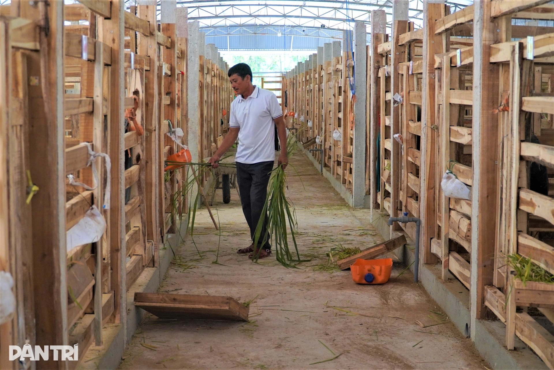 Khám phá trang trại tiền tỷ nuôi con mọc ra thần dược - 1 Khám phá trang trại tiền tỷ nuôi con mọc ra thần dược - 1