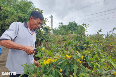 Thị trường lao động phục hồi, tỷ lệ thất nghiệp giảm